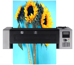 Baove OCW320Pro Digital Göstergeli Laminasyon Makinesi - A3, A4, A5, A6 - 75 mic. – 250 mic.